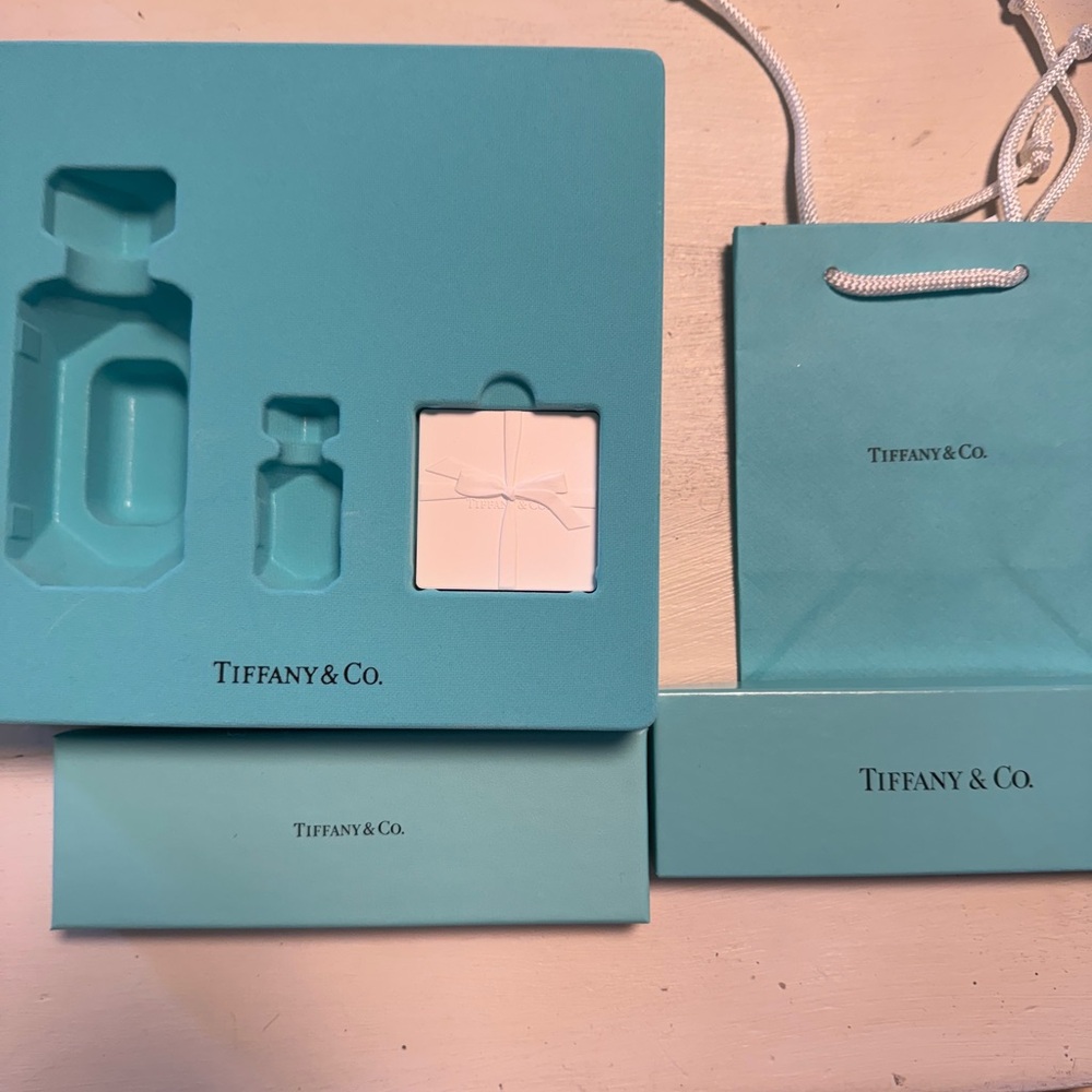 Tiffany & Co. Turquoise Gift Bag